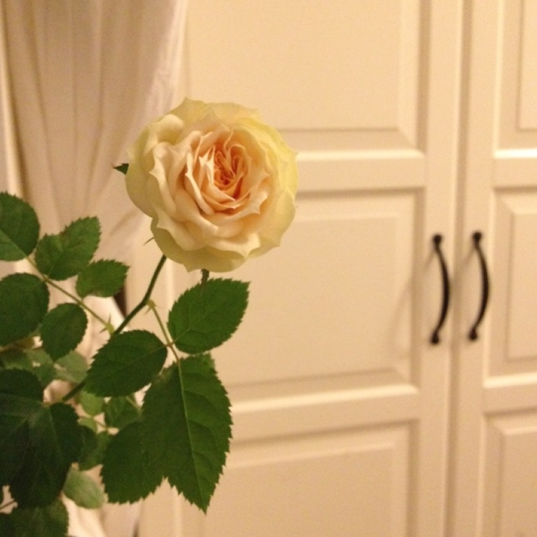 Home, sweet home. 5 марта. Нежное.