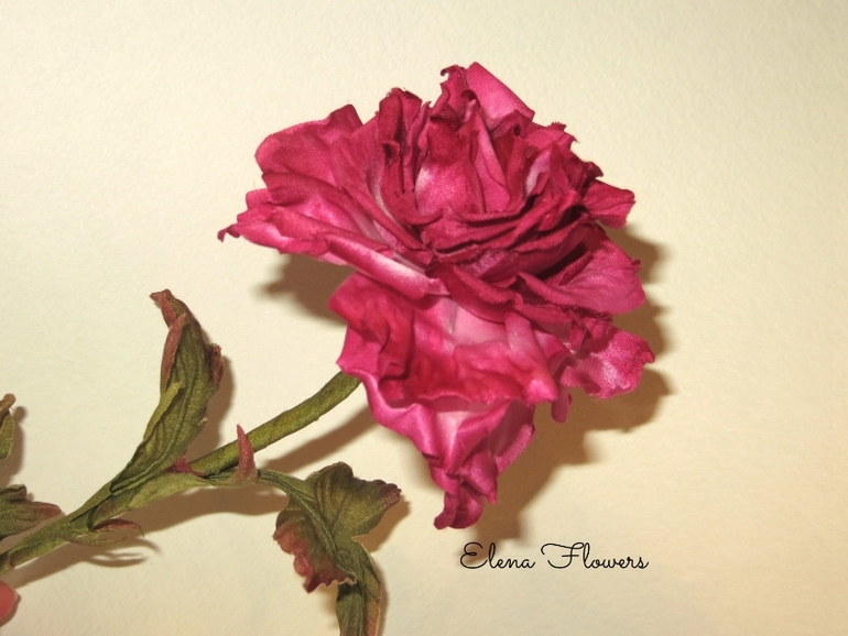 Интерьерная роза.