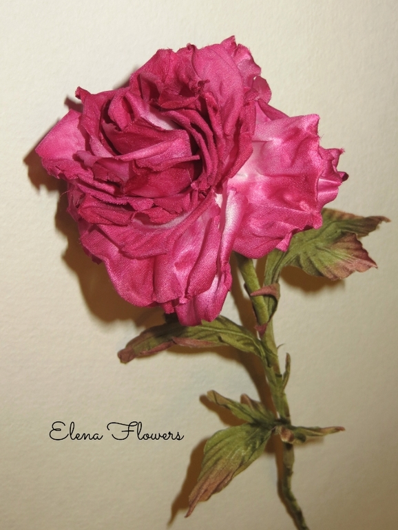 Интерьерная роза.