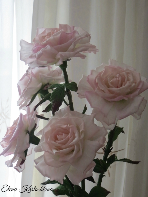 Букет роз и брошь пионовидная роза"Черный принц"