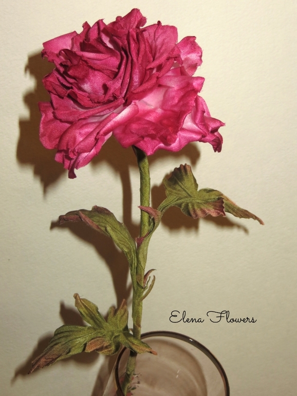 Интерьерная роза.