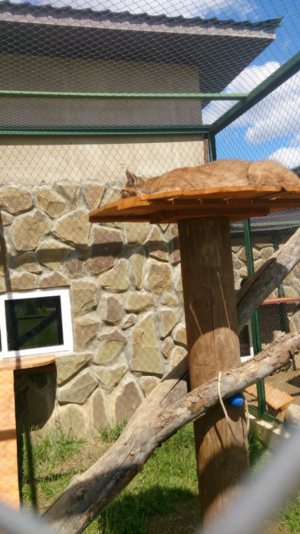 Поездка в Экзотик-парк