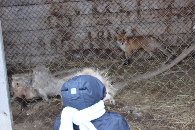 Поездка с классом в Дмитровку )  и школьная