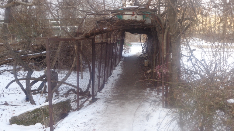 Новогодние каникулы.Часть 2