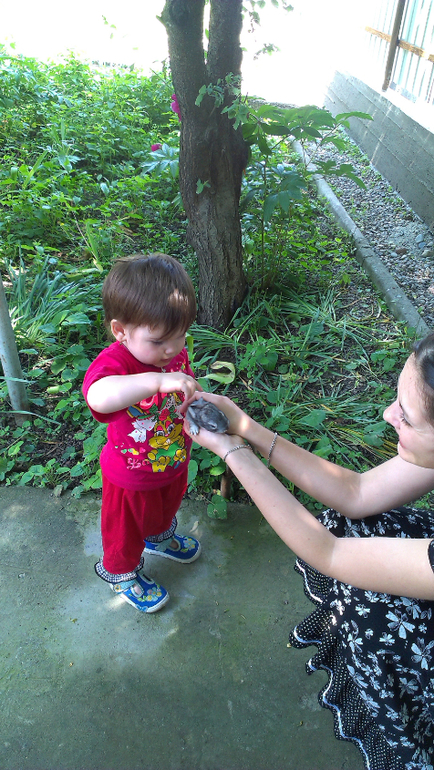 поездка в Моздок