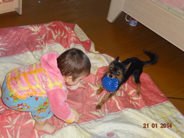 а моя крошка нашла себе новую игру