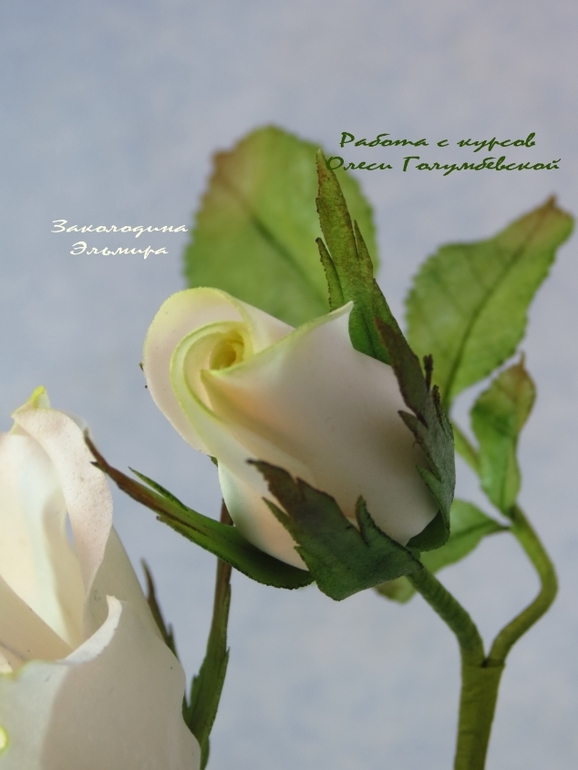 Мои цветочки с Курсов Олеси Голумбевской.