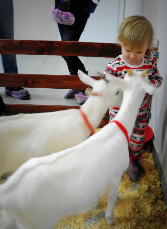 Сегодня Кире год и девять и мы были в ЗООПАРКЕ=))))))