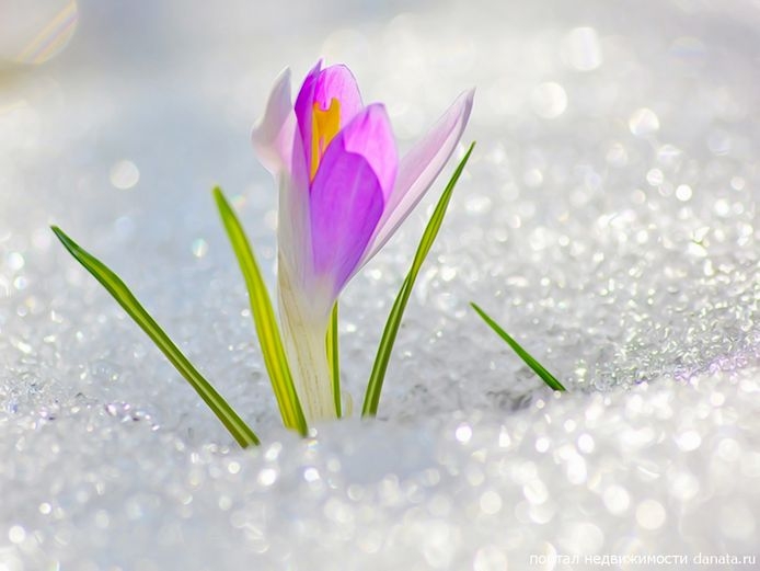 Запись на ТЗ