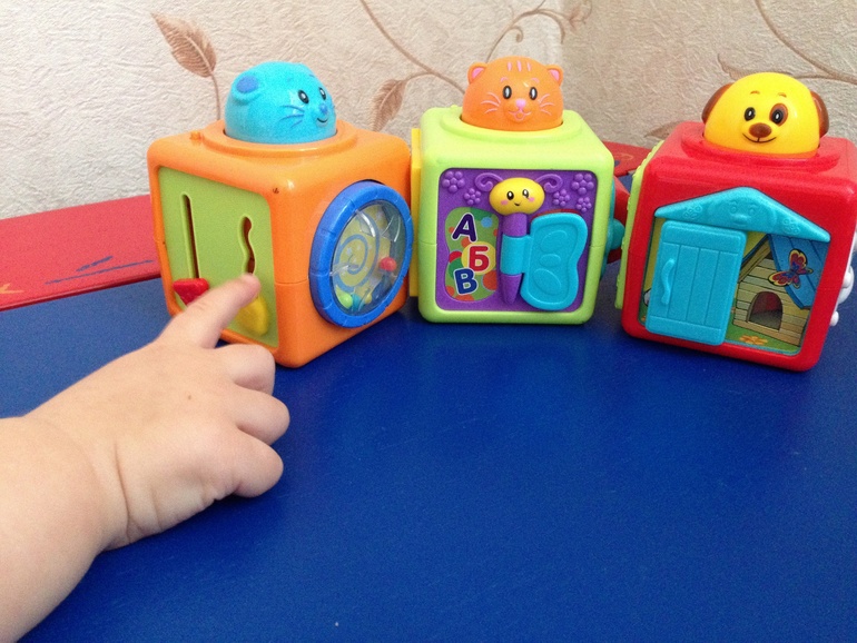 Наши фавориты!