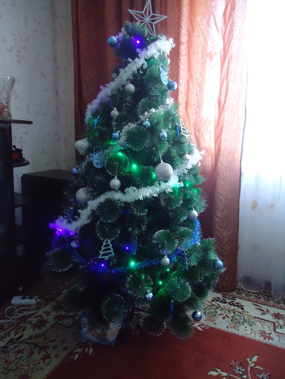24-я неделя