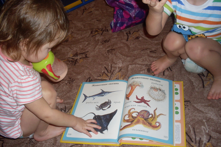 Наш досуг!!!!!! Морские приключения!