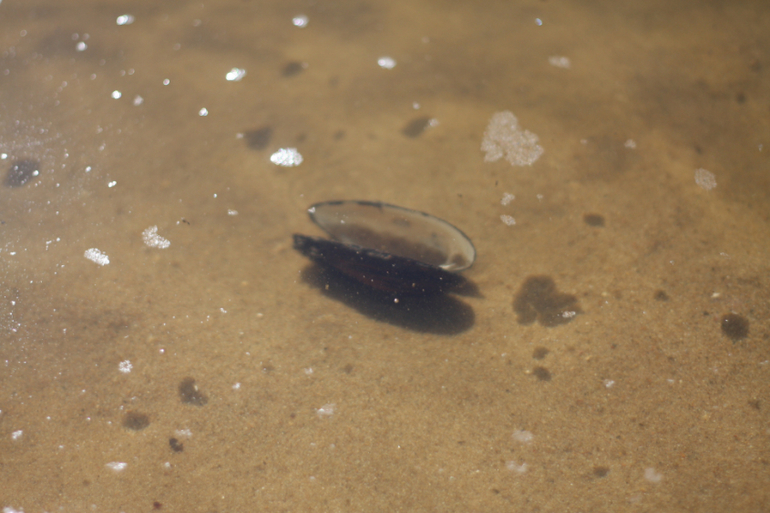 а мы купались