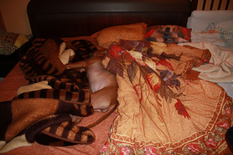 Мои козявки :)