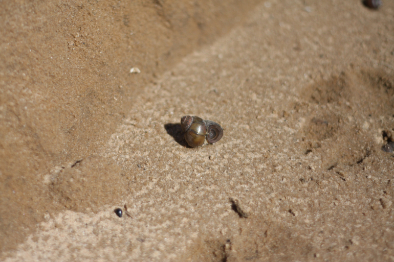 а мы купались