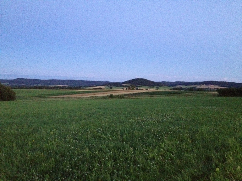 Наши прогулки