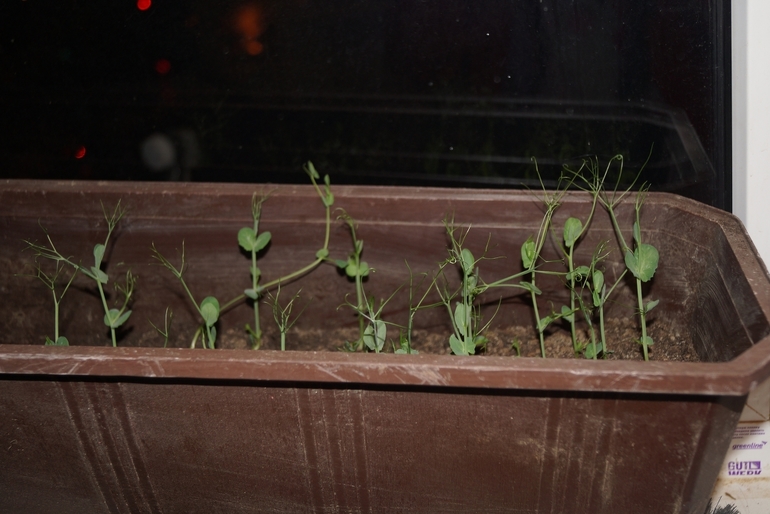 2-й и 3-й день ФМ Весенний переполох