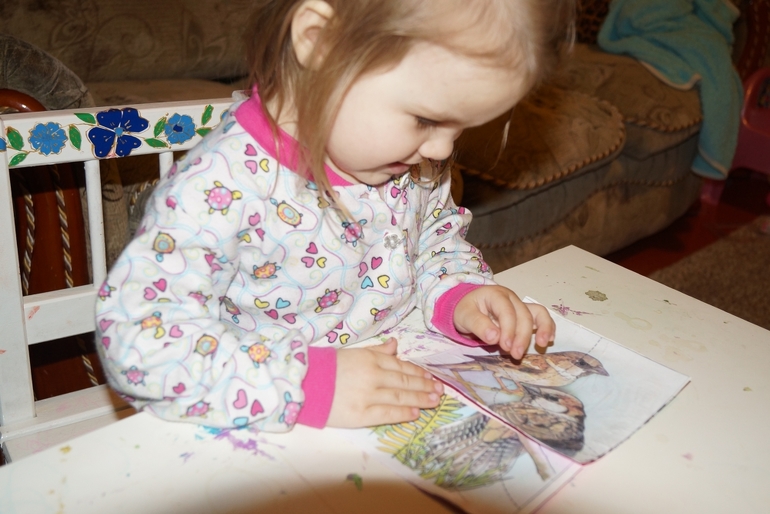 2-й день ФМ "Птицы"