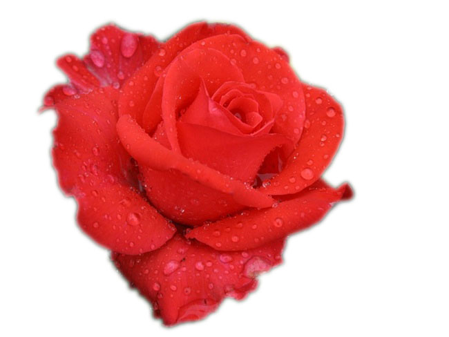 Контрольное задание № 10. "Использование быстрой и обтравочной масок"