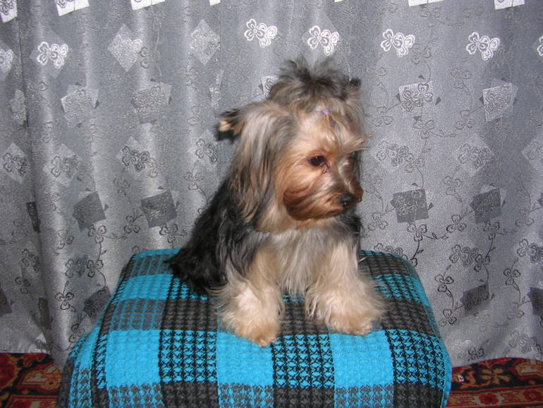 Моя радость!