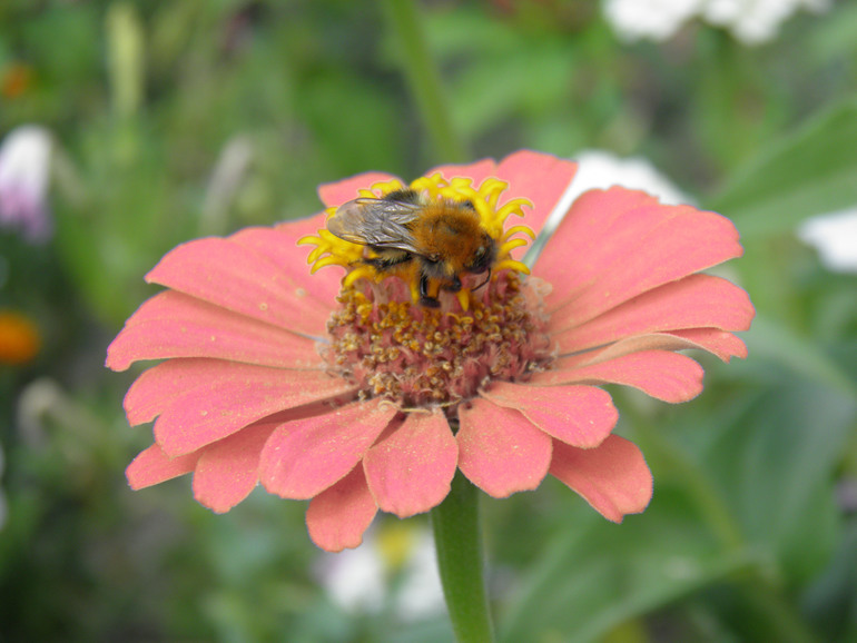 Контрольное задание № 20. Меняем цвет в Photoshop