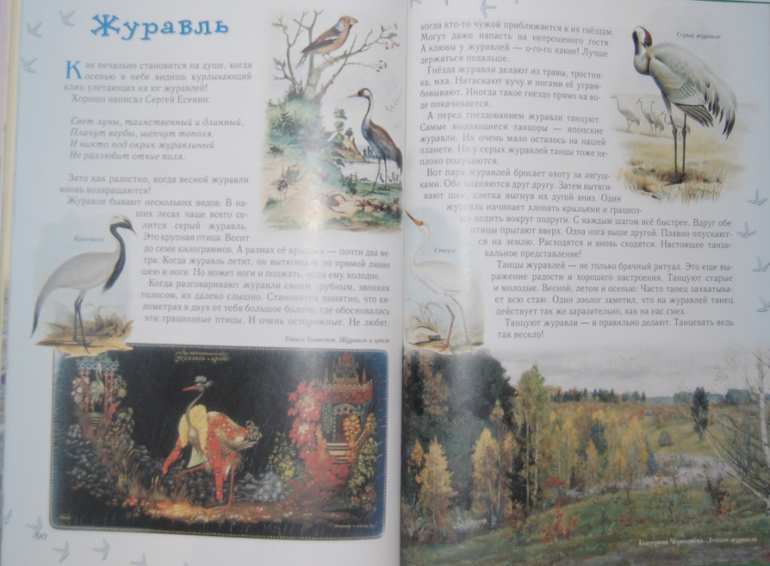 Энциклопедии для детей