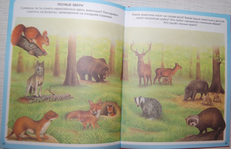 Энциклопедии для детей