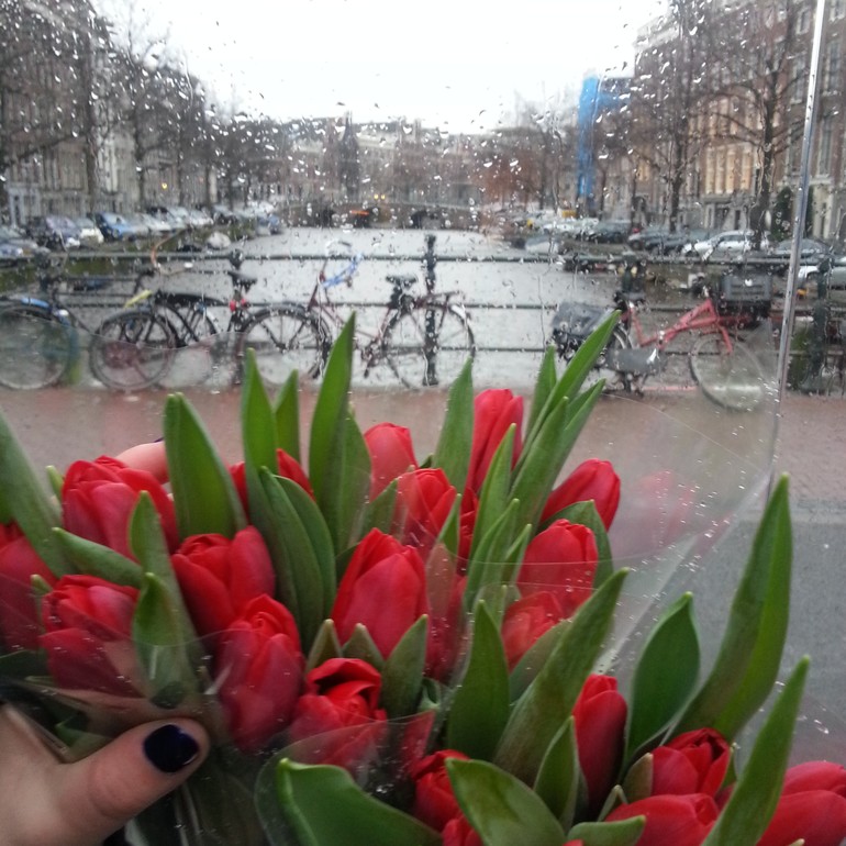 Амстердам как наваждение, как неразделенная любовь.