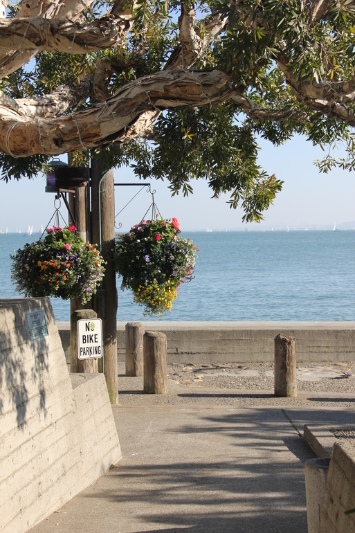 "Моя Америка" Саусалито.