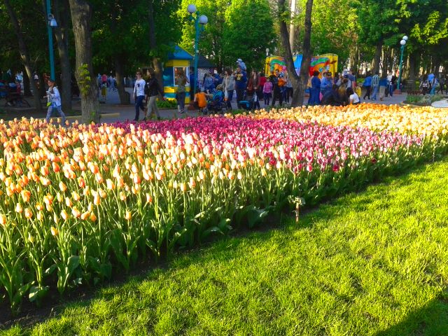 Наши первые карусели...:))