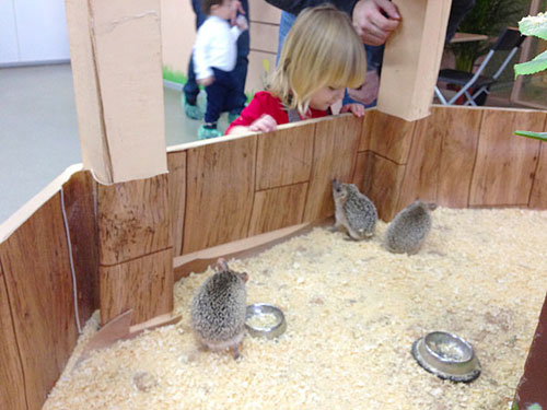 О том, как мы тискали зверюшек