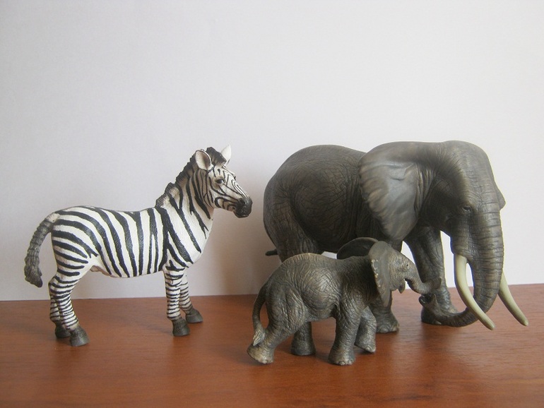 Пробное занятие по методу Шичиды