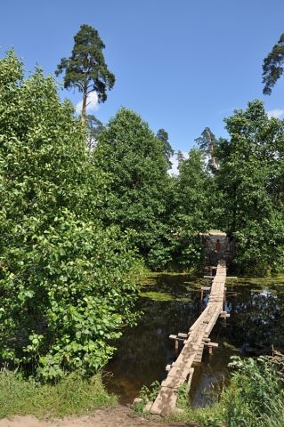 Лето в деревне Старая Слобода))))!!