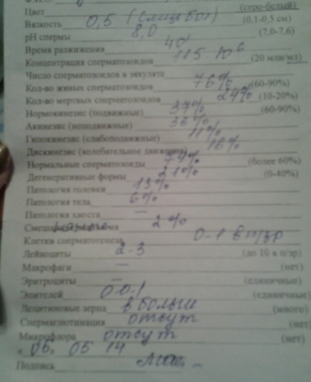 девули помогите разобрать спермограмму