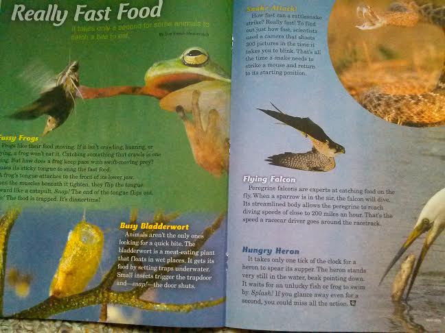 Марина, especially for you