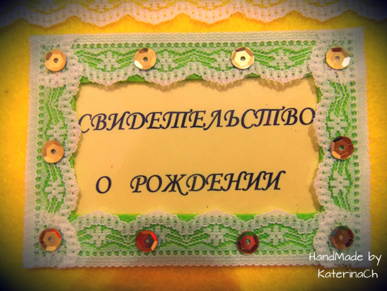 Обложка на Свидетельство о рождении из фетра №2