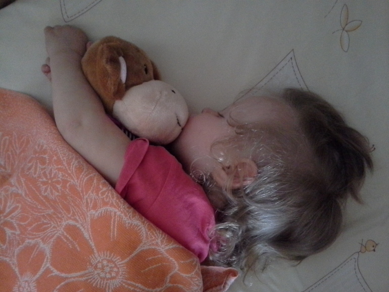 Читаем и играем. Д.Дональдсон. "Хочу к маме"