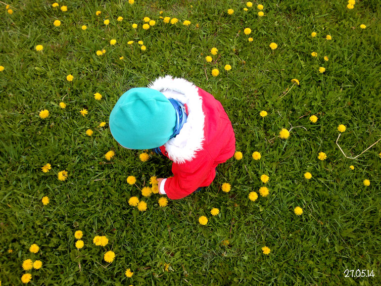 ФотоДневник. 27 мая 2014