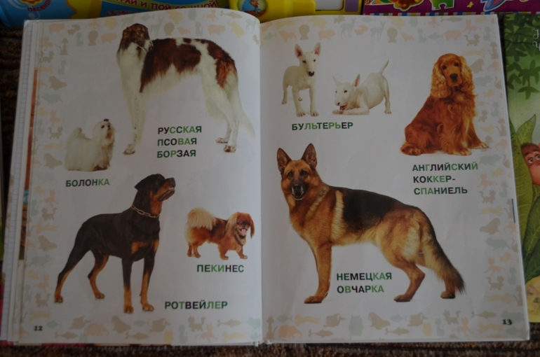 наши новые книги