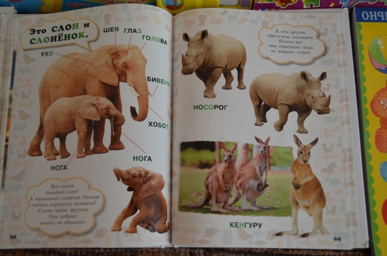 наши новые книги