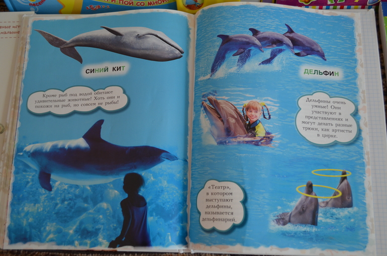 наши новые книги