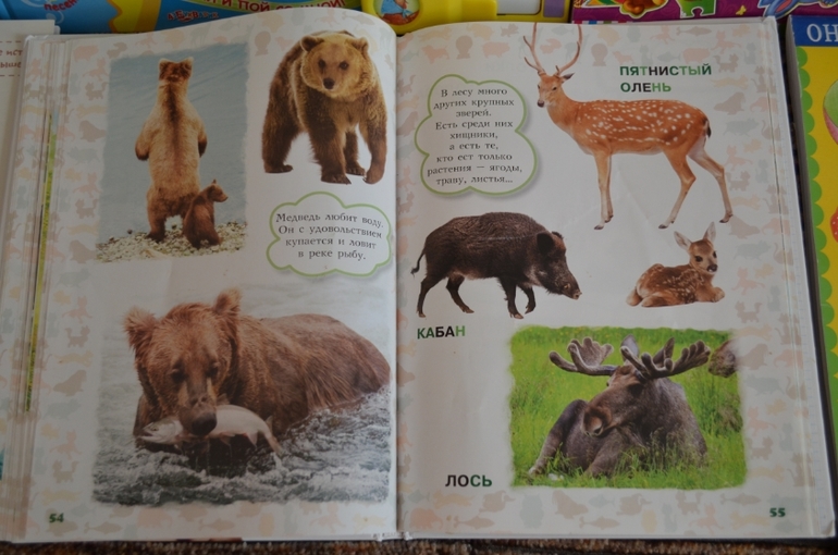 наши новые книги