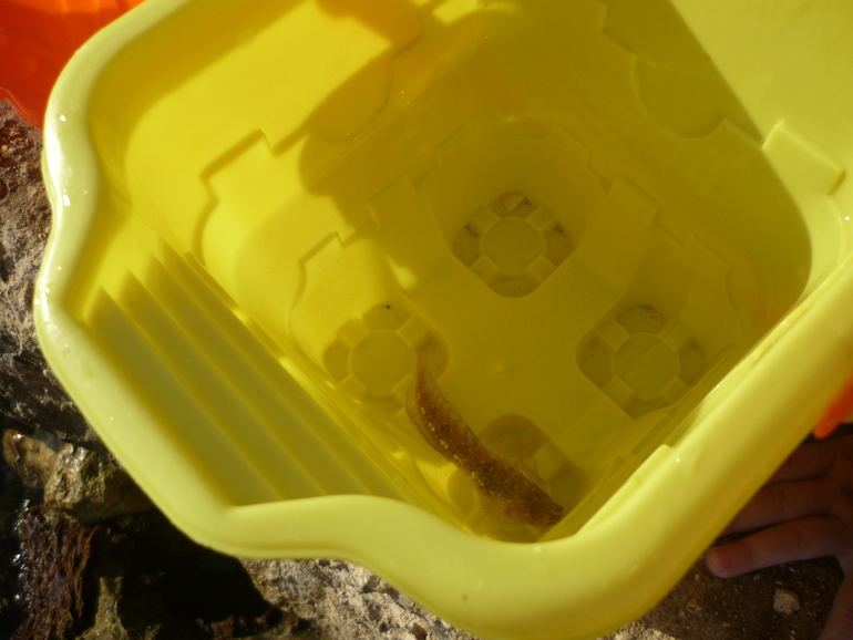 ТН "Море" День второй.