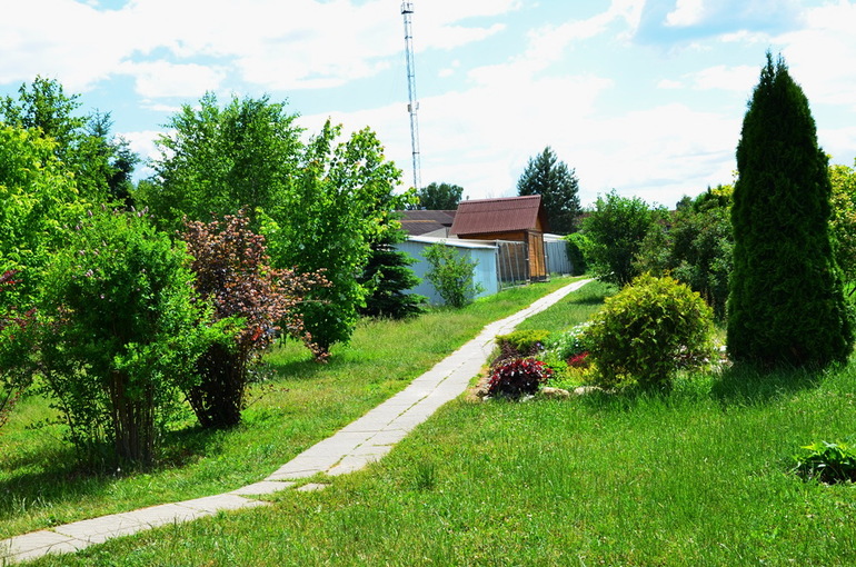 ВОРОБЬИный день :)