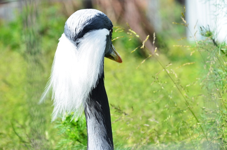 ВОРОБЬИный день :)