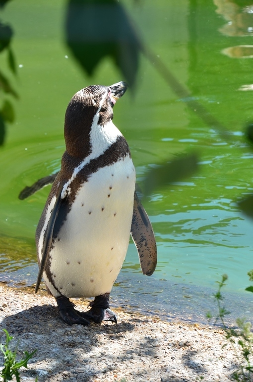 ВОРОБЬИный день :)