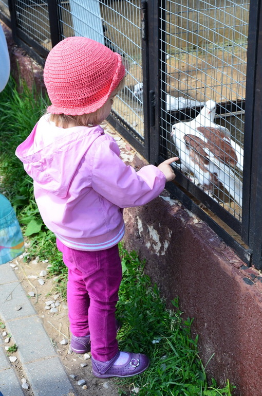 ВОРОБЬИный день :)