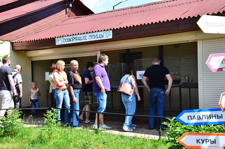 ВОРОБЬИный день :)