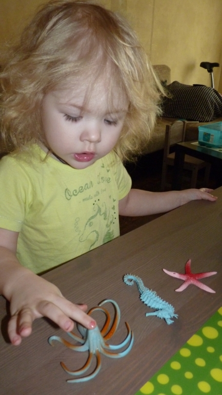 ТН Море: осьмниног, морская звезда, морской конек. День 2