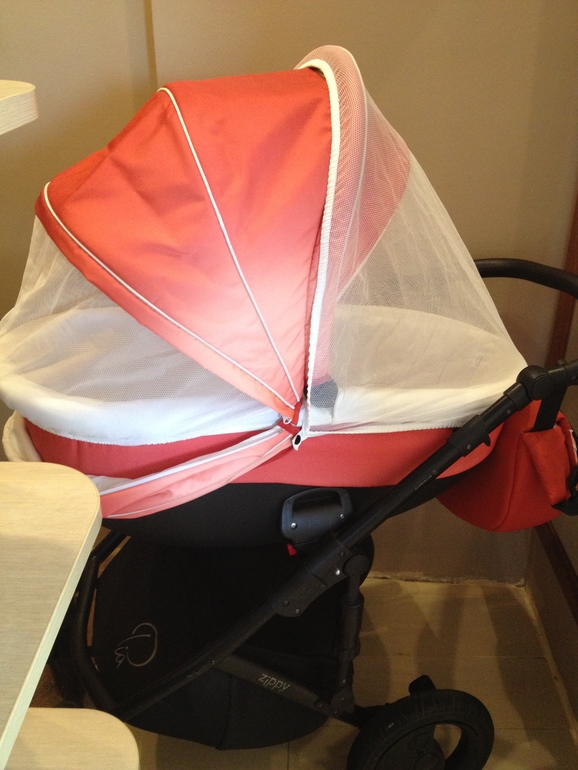 Продаю свою любимицу, красавицу Tutis Zippy Pia цвет Rubin.